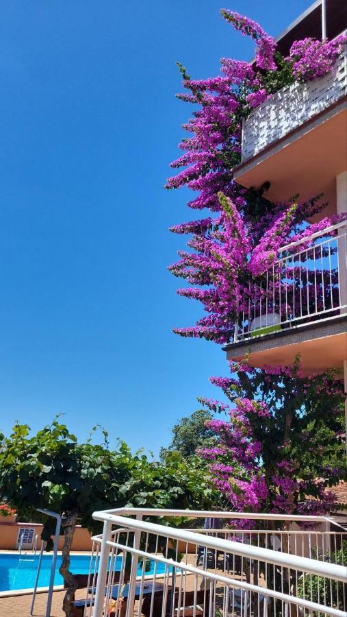 Stella Apartments Vinkuran Exteriér fotografie